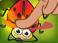 Insect Crush image