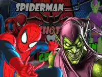 image bg Spiderman Shot Green Goblin