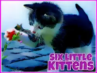 Six Little Kittens image
