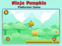 Ninja Pumpkin image