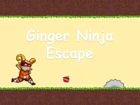 Ginger Ninja Escape image