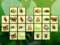 Connect The Insects image