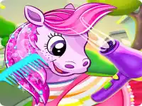 pet pony salon image