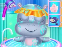 Baby Hippo Care image