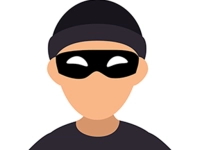 Save the Thief image