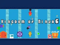 Kingdom of Ninja 6 image