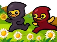 Ducky Adventure image