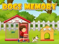 image bg Dogs Memory