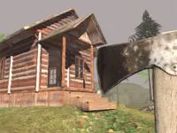 Surviving in the Woods image