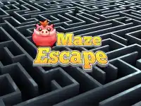 Maze Escape image