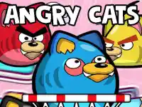 image bg Angry Cats