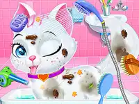 image bg Baby Animals Pet Vet Care