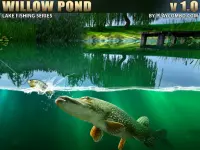 image bg Willow Pond