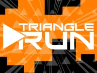 Triangle Run image