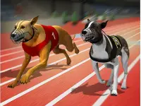 Racing Dog Simulator : Crazy Dog Racing Games image