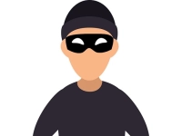 Blocky Looter -  Thief 3D image