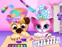 image bg Pet Haircut Beauty Salon