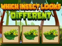 Which Insect Looks Different image