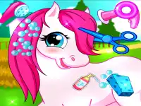 image bg Horse Pet Salon 3D