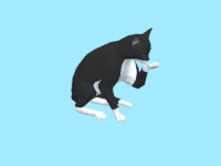Cat Escape: Play hungry cat image