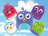 image bg Bird Match Master