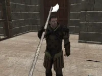 Gladiator Kampf image