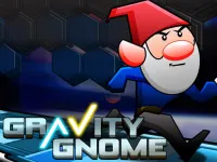 Gravity Gnome image