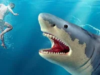 Shark Hunting image