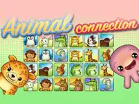 image bg Animal Connection