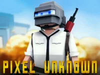 PUBG  Gunfight Pixel image