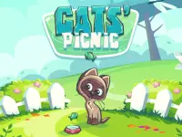 image bg Cats Picnic