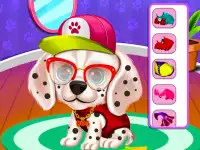 image bg My Puppy Daycare Salon
