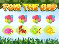 Find the Odd image