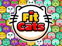image bg Fit Cats