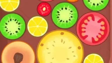 Play Melon Playground image